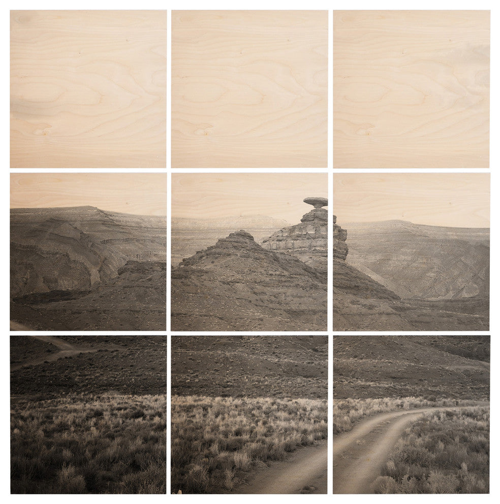 Deny Designs Catherine Mcdonald Desert Southwest Wood Wall Mural, 4'x4'