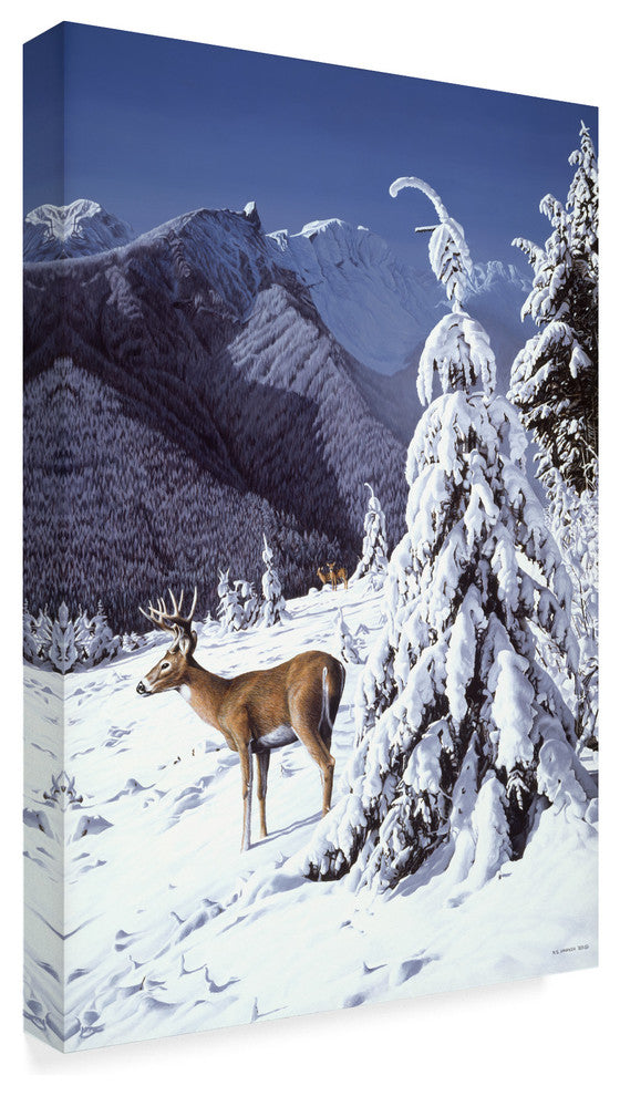 Ron Parker ''Whitetail Deer'' Canvas Art, 47"x30"