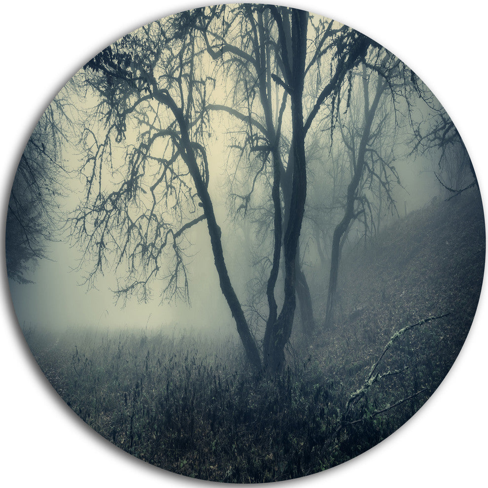 Forest With Green Fog In Morning, Landscape Disc Metal Wall Art, 23"