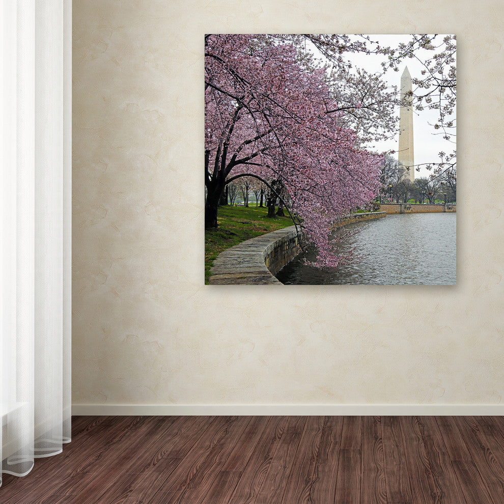 CATeyes 'Washington Blossoms' Canvas Art, 18x18