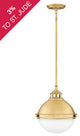 Hinkley 4834SA Small Pendant, Gold, Light Brass