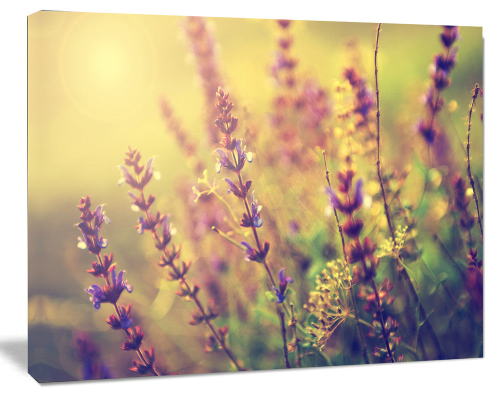 Vintage Photo of Wild Purple Flower, Large Floral Canvas Art Print, 60"x28"