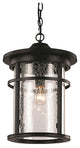 Trans Globe  Lighting, Avalon 13.75" Hanging Lantern