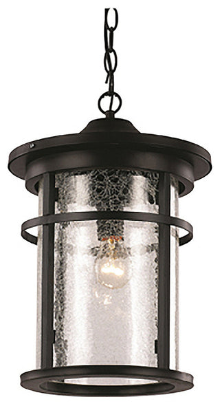 Trans Globe  Lighting, Avalon 13.75" Hanging Lantern