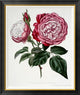 "China, Archduke Charles" Framed Canvas Giclee by Henry Curtis, 31x36"