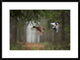 "Two" Framed Digital Print by Peter Bognar, 32x24"