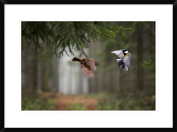 "Two" Framed Digital Print by Peter Bognar, 32x24"