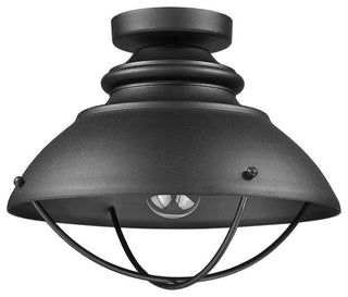 1 Light Convertible Aluminum Hanging Ceiling Light in Black