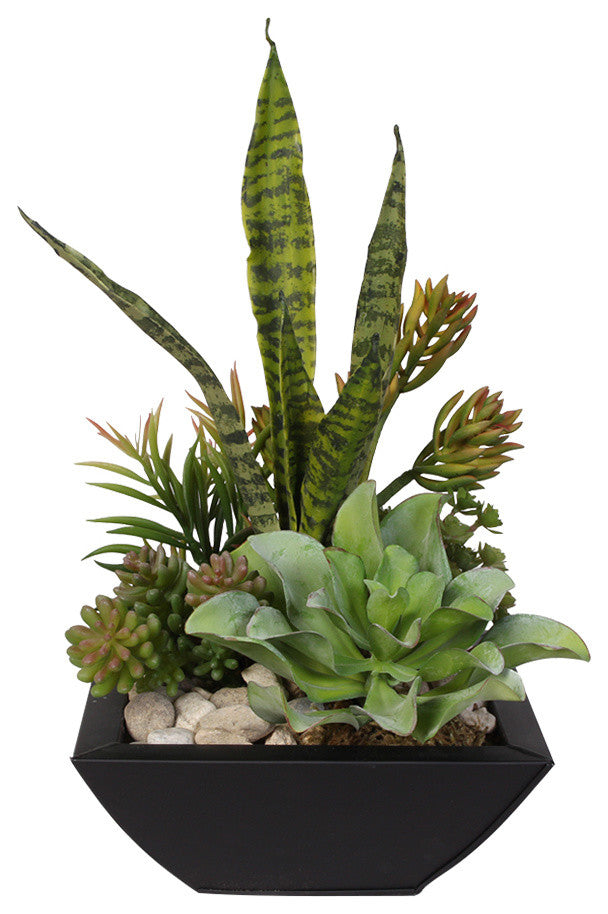 Blooming Succulent Arrangement in Metal Pot