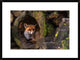 "Fox" Framed Digital Print by Cees Van Ginkel, 30x22"