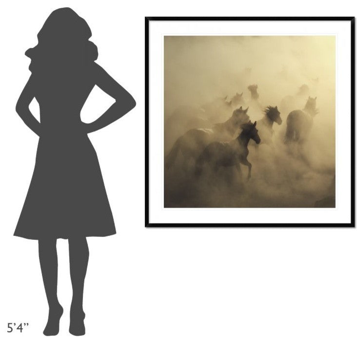 "Migration Of Horses" Framed Digital Print by Huseyin Taskin, 44x44"