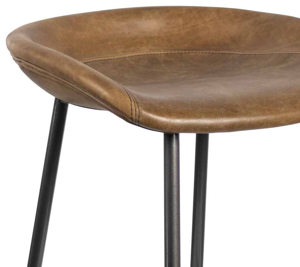 Regina Andrew Marc Bar Stool (Set of 2)