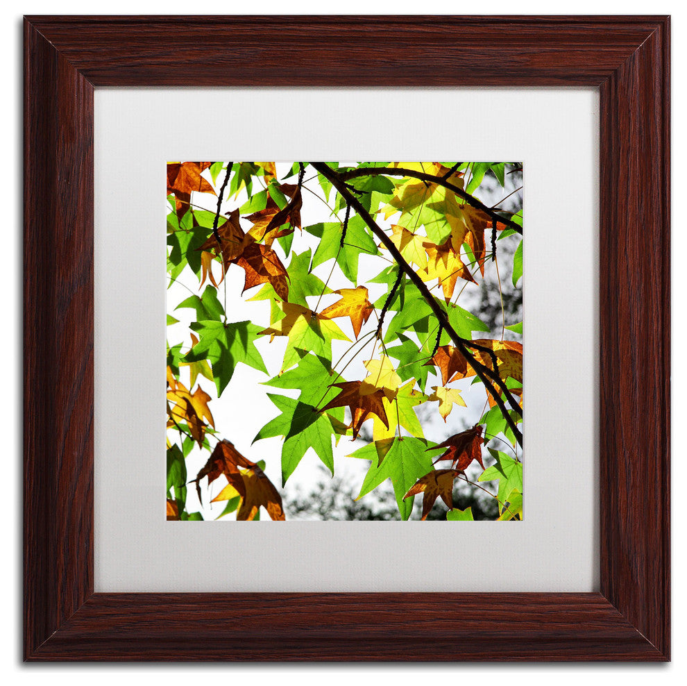 'First Signs' Matted Framed Canvas Art by Beata Czyzowska Young