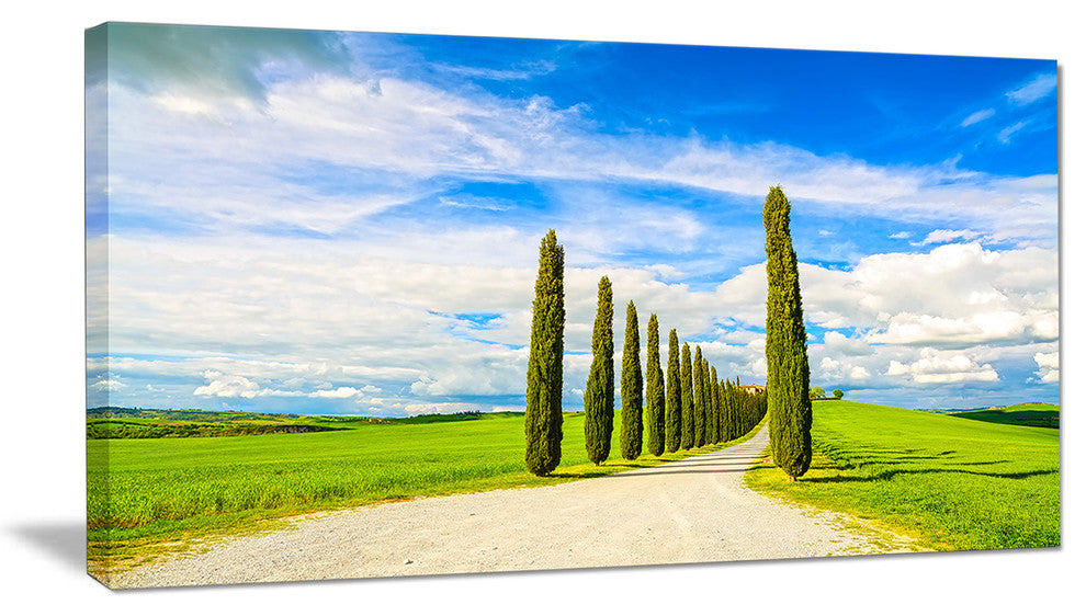 "White Road Through Cypress Trees" Landscape Wall Art Print, 1 Panel, 60"x28"