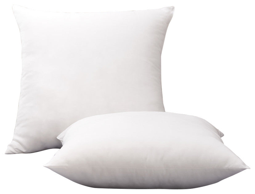 Modern Loft Soft Touch Euro Pillow, 2-Pack