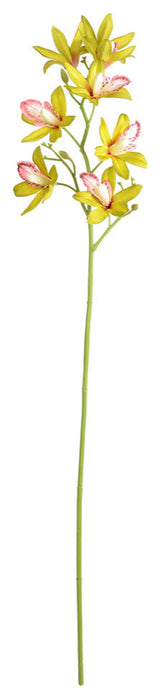 32" Green Orchid Stem 6/Pk