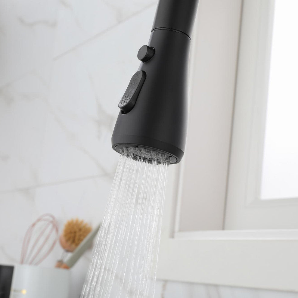 Wellfor Single-Handle Pull Down Sprayer Kitchen Sink Faucet, Matte Black