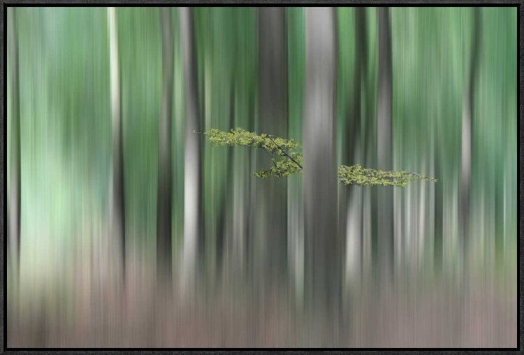 "Summermorning" Framed Canvas Giclee by Huib Limberg, 31x21"
