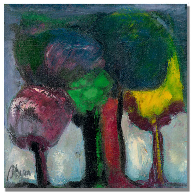 'Boyer Bosque de Niebla' Canvas Art by Boyer