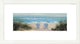 "Among Friends II Panel" Framed Digital Print by Diane Romanello, 27x15"