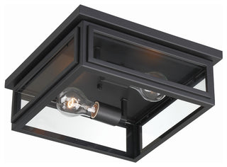 Byron 2-Light Outdoor Ceiling Mount, Matte Black