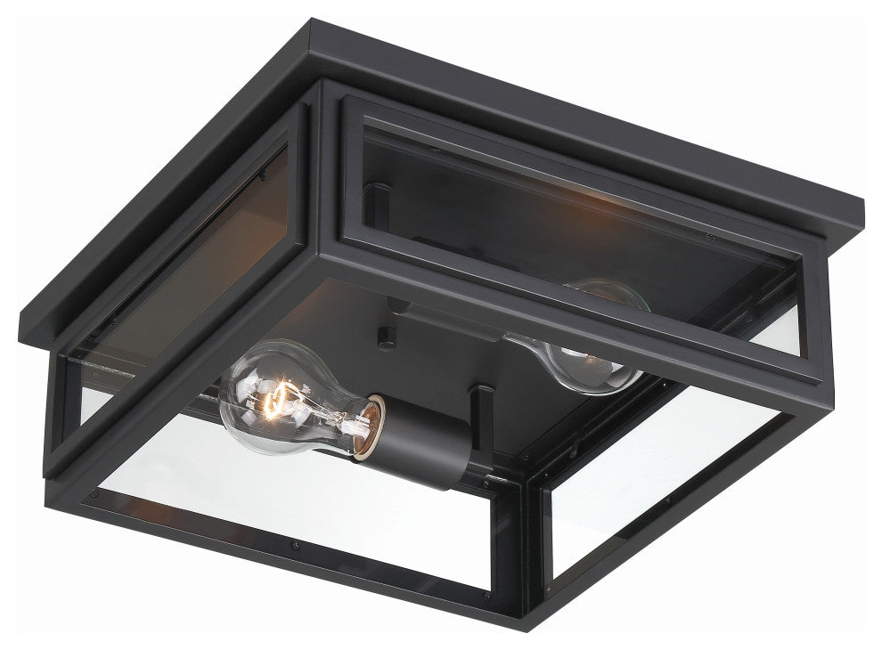 Byron 2-Light Outdoor Ceiling Mount, Matte Black
