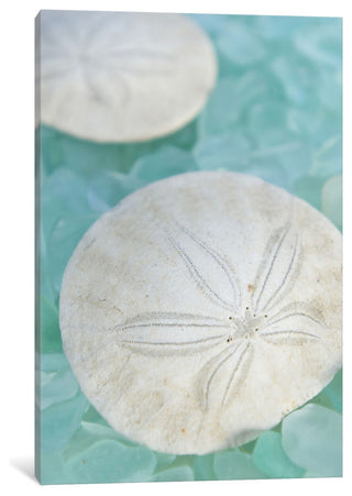 "Seaglass 3 Gallery" by Alan Blaustein, 18x12x1.5"