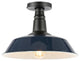 Camila 14" 1-Light Indoor/Outdoor LED Semi Flush Mount, Navy/Black