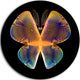 Blue Yellow Fractal Butterfly In Dark, Abstract Art Round Wall Art, 11"