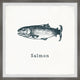 "Salmon in White" Framed Painting Print, 32x32
