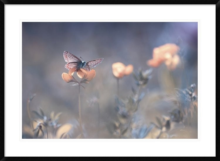 "The Lady Of Lothlorien" Framed Digital Print by Fabien Bravin, 38"x28"