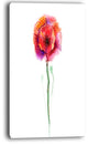 "Isolated Poppy Flower in Full Bloom" Flower Canvas Wall Art, 20"x40"