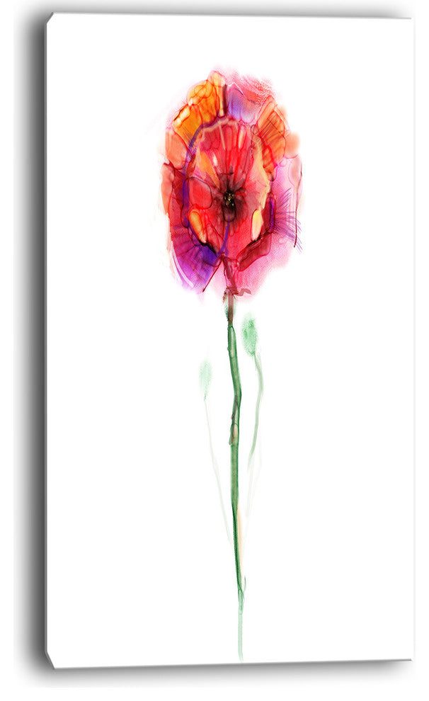 "Isolated Poppy Flower in Full Bloom" Flower Canvas Wall Art, 20"x40"