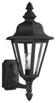 Generation Lighting Lighting 1-Light Bren2od Outdoor Lantern, Black