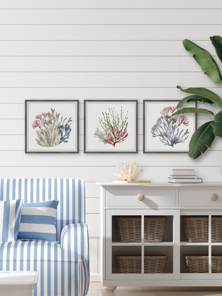 Marine Life Display Triptych, 3-Piece Set, 32x32 Panels