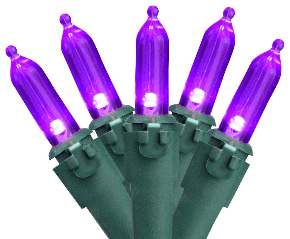 Set of 100 Purple LED Mini Christmas Lights 4" Spacing - Green Wire
