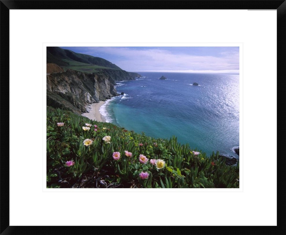 Ice Plant Or Hottentot Fig Big Sur Coast Near Bixby Creek, California, 22"x18"