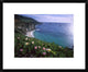 Ice Plant Or Hottentot Fig Big Sur Coast Near Bixby Creek, California, 22"x18"