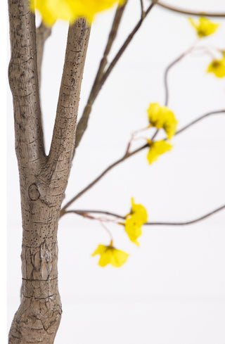 White background close-up of trunk/branch (cropped view)