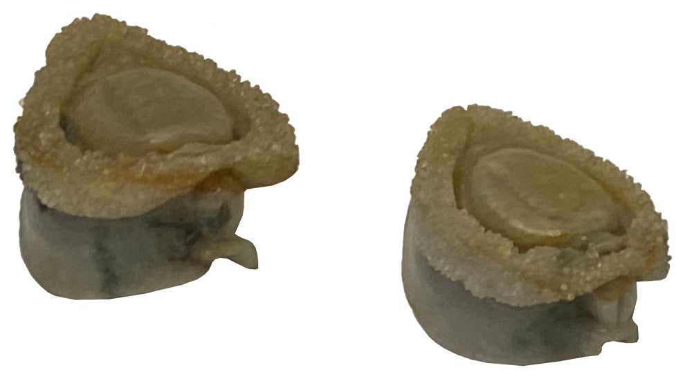 Lot 2 Stone Carved Abalone Shape Display Art, Aws2224