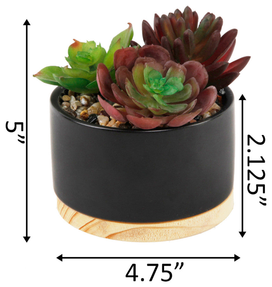 Succulent Mix In Blk Ceramic Wood Base