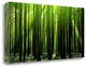 "Green Woods 3" By Photoinc Studio, Giclee Print on Gallery Wrap Canvas