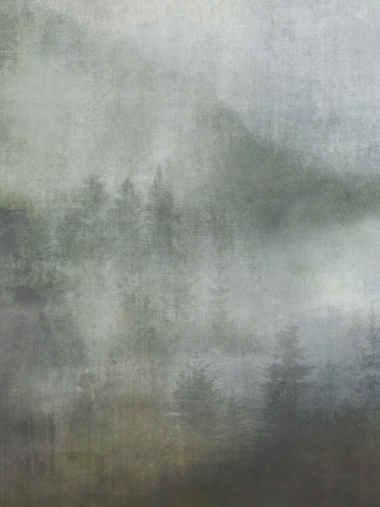 Misty Forest I, 30"x40", Gallery Wrapped