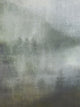 Misty Forest I, 30"x40", Gallery Wrapped