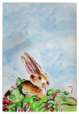 Jack Rabbit Rt Guest Towel - Two Sets of Two (4 Total)