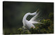 "The Moment You Will Never Forget!" Canvas by David H Yang, 18x12"
