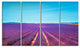 "Lavender Flowers and Clear Sky" Landscape Wall Art Print, 4 Panels, 48"x28"