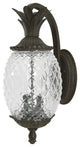 Pineapple Outdoor Wall Mount Light, Black Coral