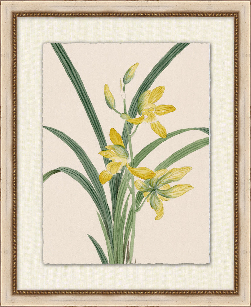 Prisma Floral 14, Giclee Reproduction Artwork