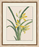 Prisma Floral 14, Giclee Reproduction Artwork